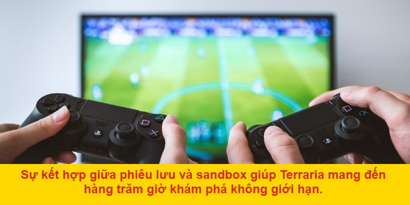 Trồng trọt và chăm sóc nông trại