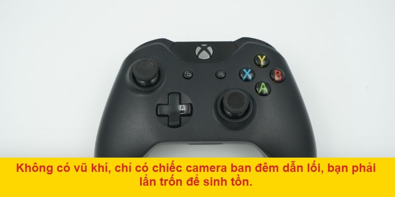 Các chế độ chơi thú vị trong Fall Guys: Ultimate Knockout