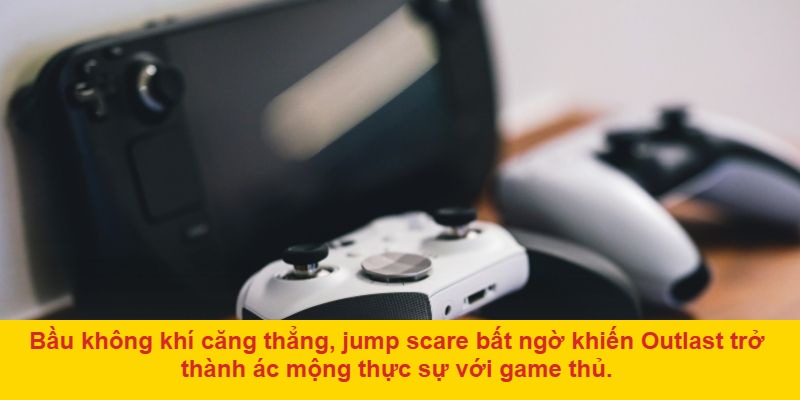 Tại sao bạn nên chơi Fall Guys: Ultimate Knockout tại ALO789?