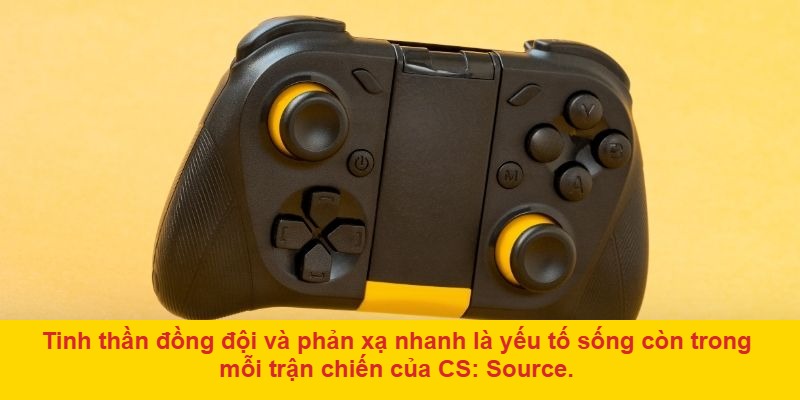 Hành trình danh dự và sự sống còn của shinobi