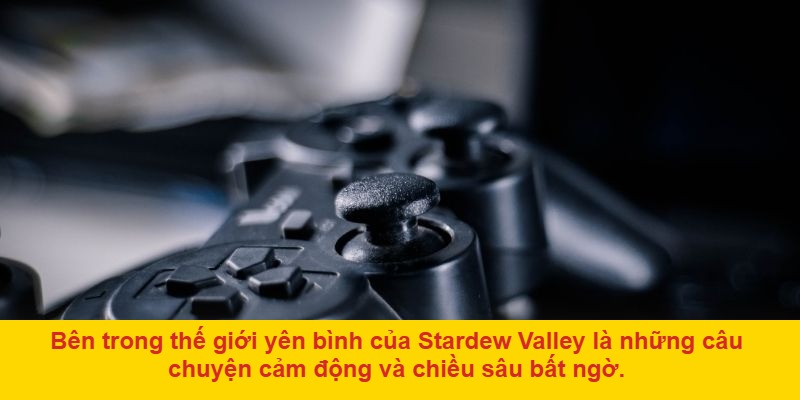 Các chế độ chơi và trải nghiệm cộng đồng