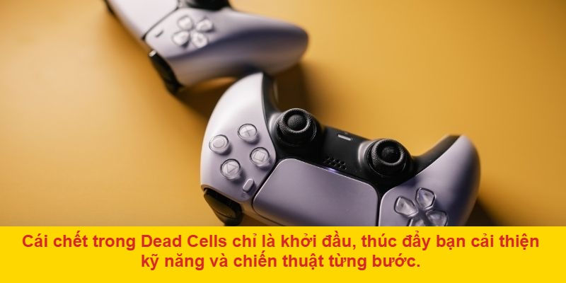 Giới thiệu về Hearthstone